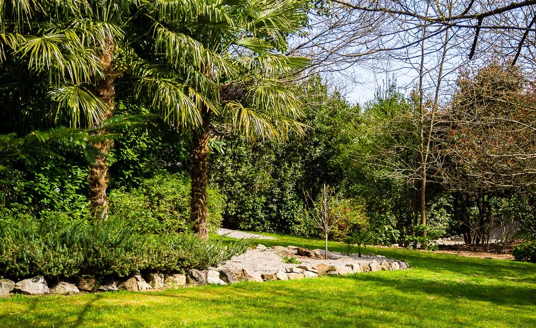 Очередные 10 000 шагов к здоровью Очередные 10 000 шагов к здоровью коронавирус,медицина,общество,яостаюсьдома