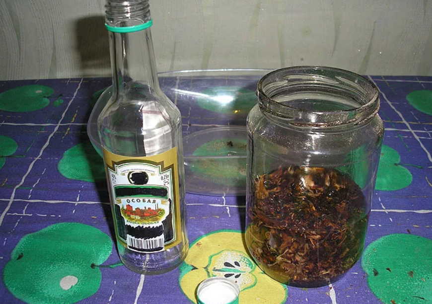 Чтобы исчез зоб нужно потрудиться - сделать настойку, и не лениться!