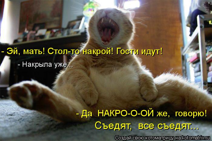 Муркотушки! Муркотушки, Источник