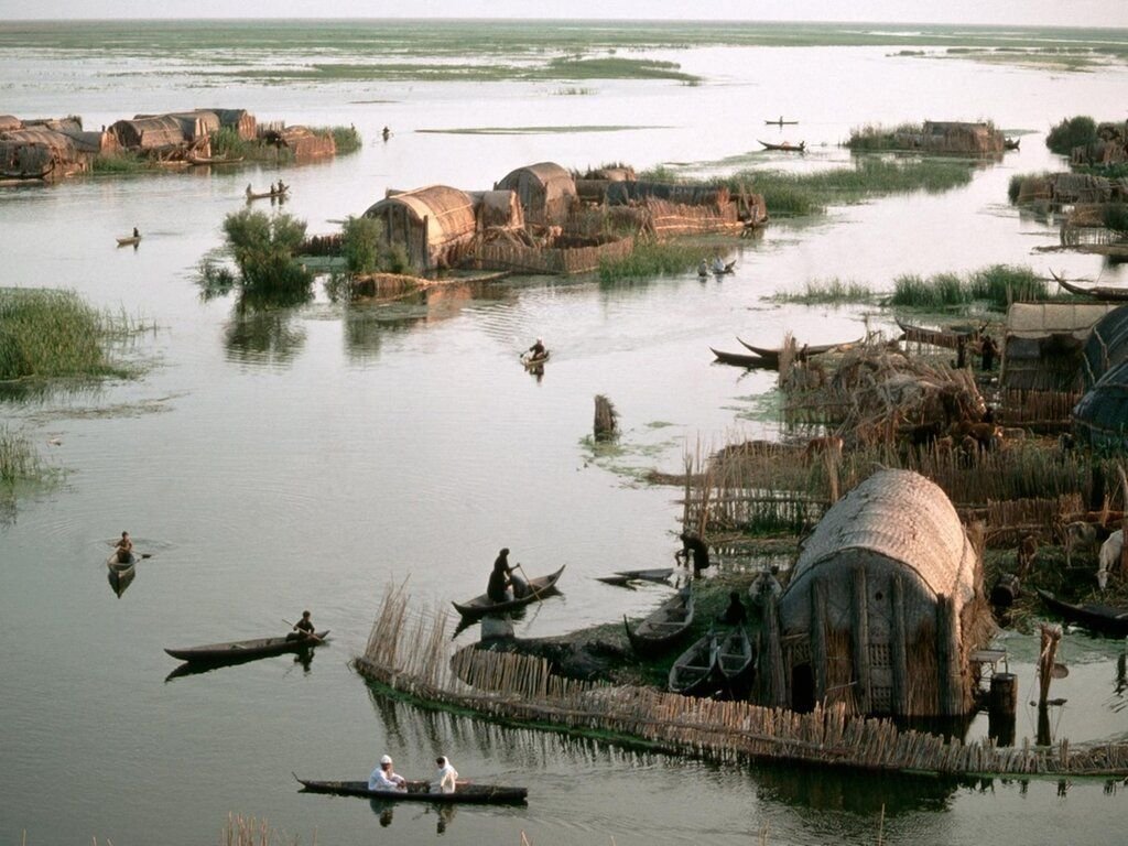 Болотная страна в Ираке/ © samurpress.net