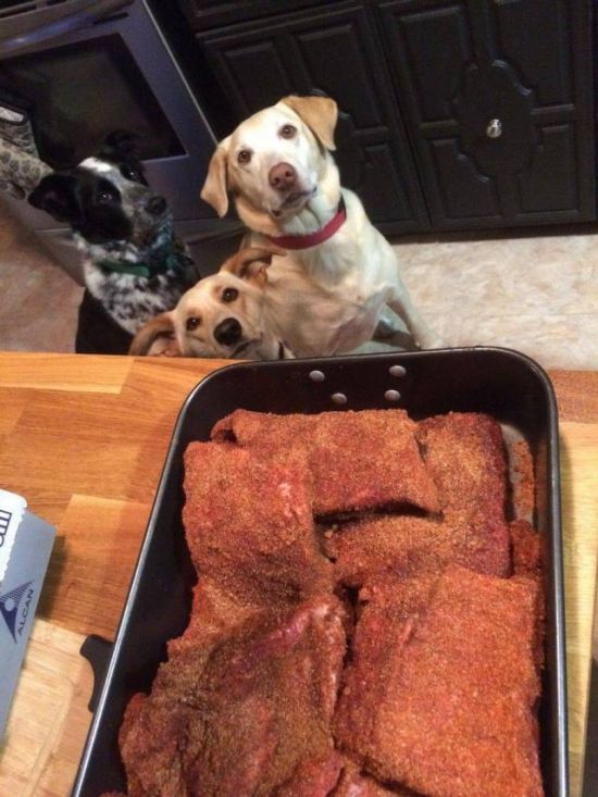 Подборка зачетных картинок и фото приколов из сети Подборка зачетных картинок и фото приколов из сети приколы,прикольные картинки,смешные картинки,фото приколы,юмор