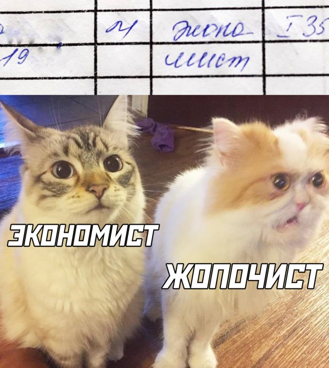 Подборка смешных картинок. Вечерний выпуск Подборка смешных картинок. Вечерний выпуск