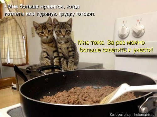 Котоматрица для всех позитив