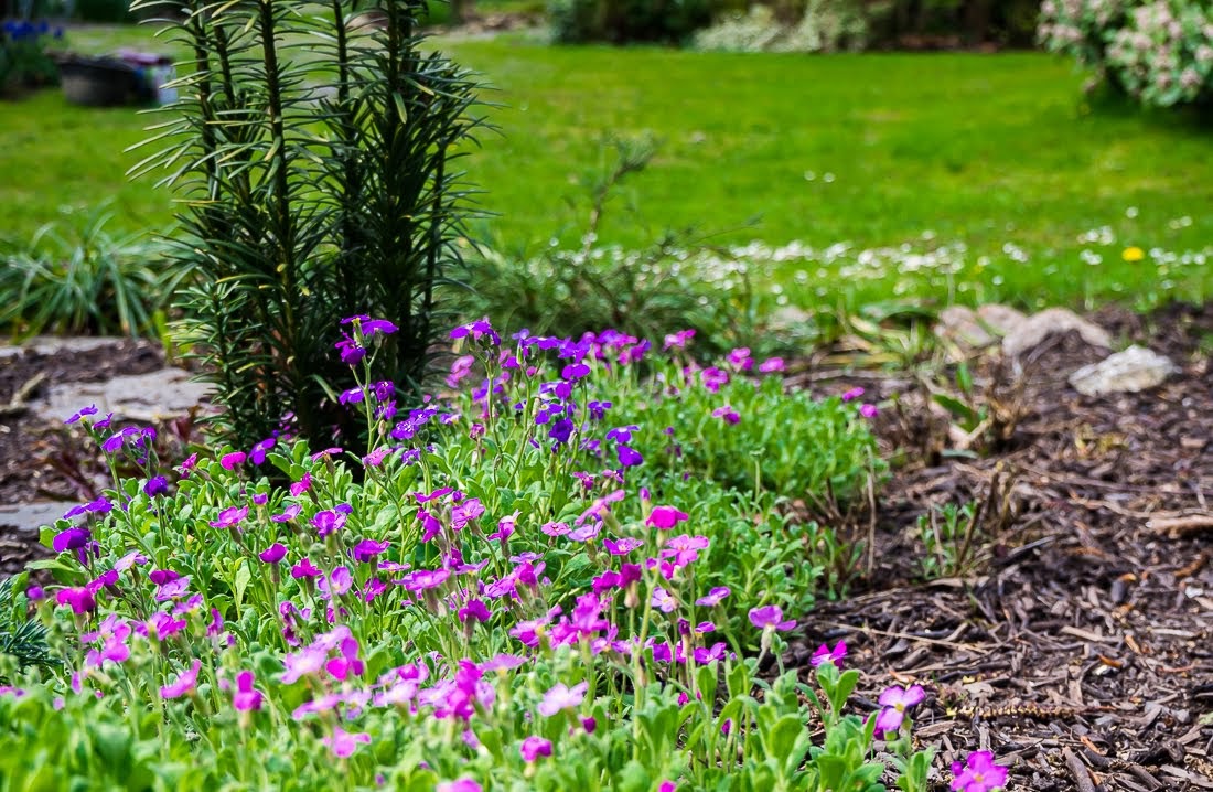 Очередные 10 000 шагов к здоровью Очередные 10 000 шагов к здоровью коронавирус,медицина,общество,яостаюсьдома