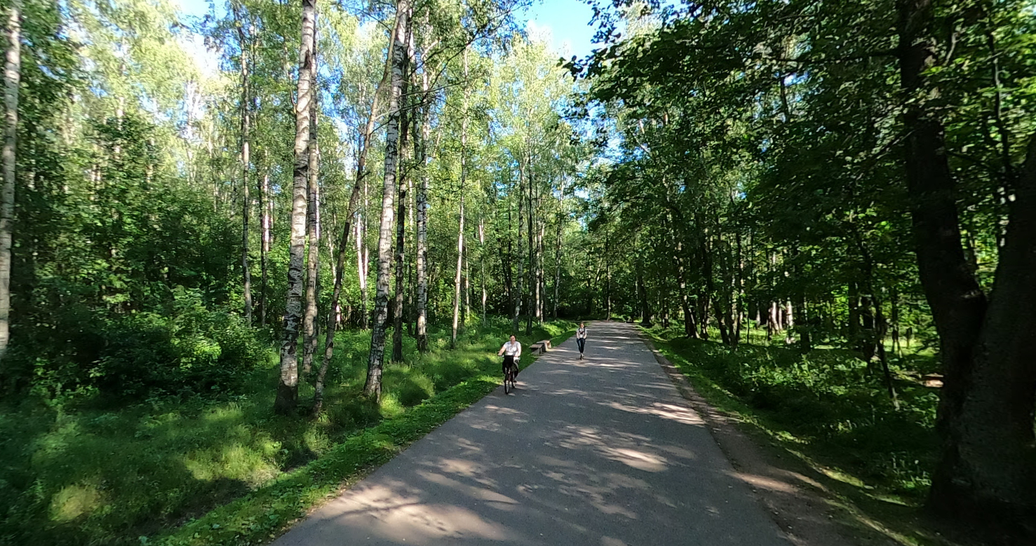 в удельном парке