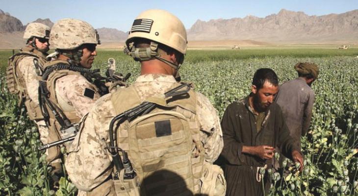 Сбор афганцами опиумного мака под контролем США