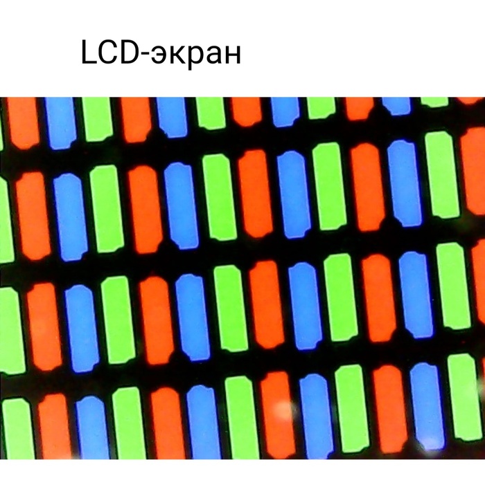 Невероятные фотографии под микроскопом 
