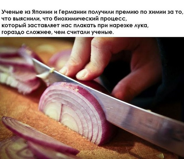 Необычные исследования в разных областях 