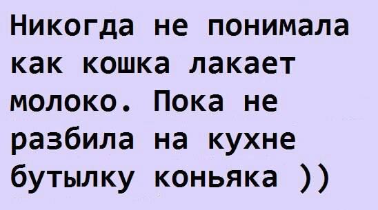 Встречаются две женщины: - Вот у тебя муж - моряк дальнего плавания, ты его видишь  неделю в году... весёлые, прикольные и забавные фотки и картинки, а так же анекдоты и приятное общение