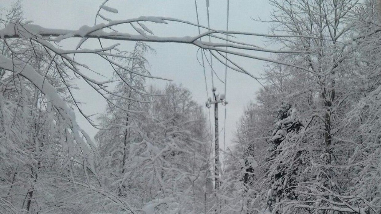 Лужский электрический коллапс: специалисты «Ленэнерго» пока не дошли до деревни Овраги Лужского района
