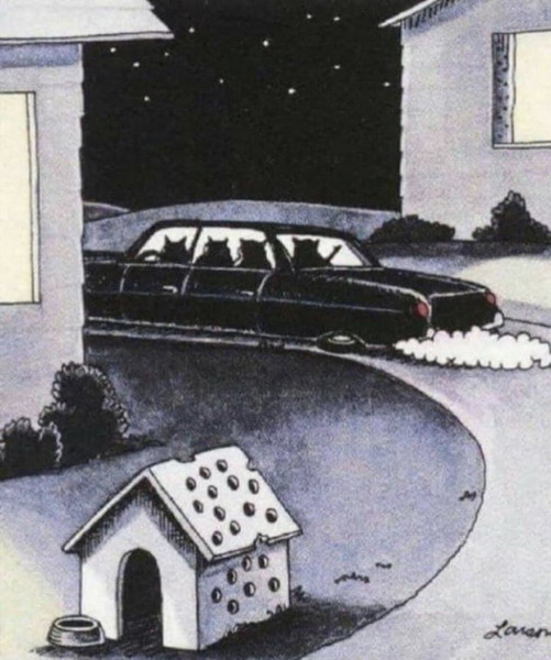 Животный юмор в картинках Животный юмор в картинках