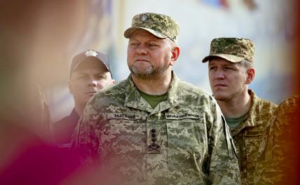 Генерал Залужный приблизился к «передку» и разглядел «фланговый замысел русских» украина