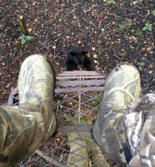 Подборка забавных картинок и смешных фото с надписями из сети Подборка забавных картинок и смешных фото с надписями из сети картинки с надписями,прикольные картинки,смешные комментарии,шикарные фотографии