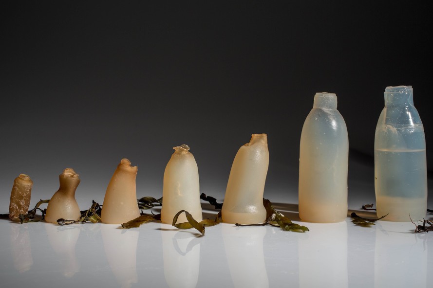 Биоразлагаемые бутылки из водорослей – зеленая альтернатива пластику. Facepla.net последние новости экологии