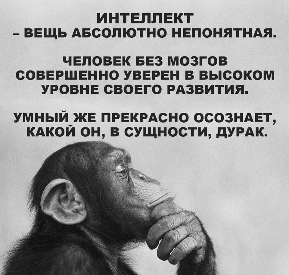 Вот и праздникам конец, кто не спился - молодец анекдоты,веселые картинки,демотиваторы,юмор