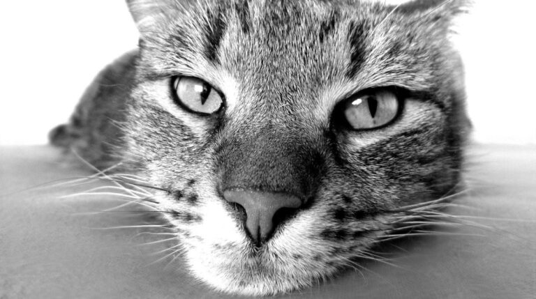 BeFunky-collage - 2021-09-02T124752.911