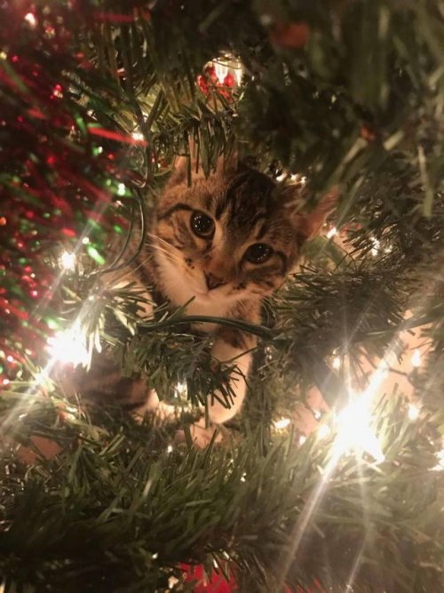 Подборка прикольных картинок, зашибись! Подборка прикольных картинок, зашибись! позитив