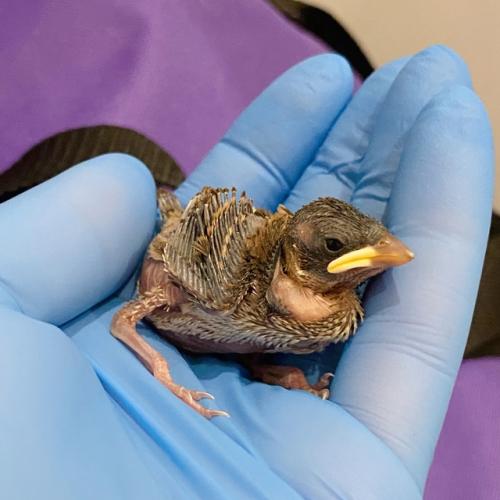 Актуалочка за последнее время (за всегда.