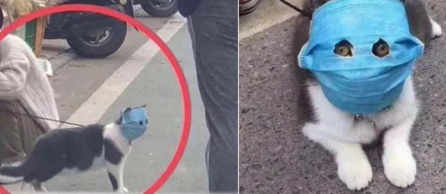 Защита от коронавируса - Необычные способы