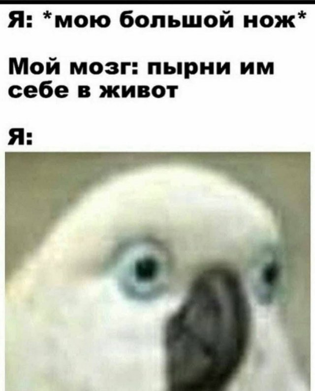 Немного странного и черного юмора  позитив,смешные картинки,юмор