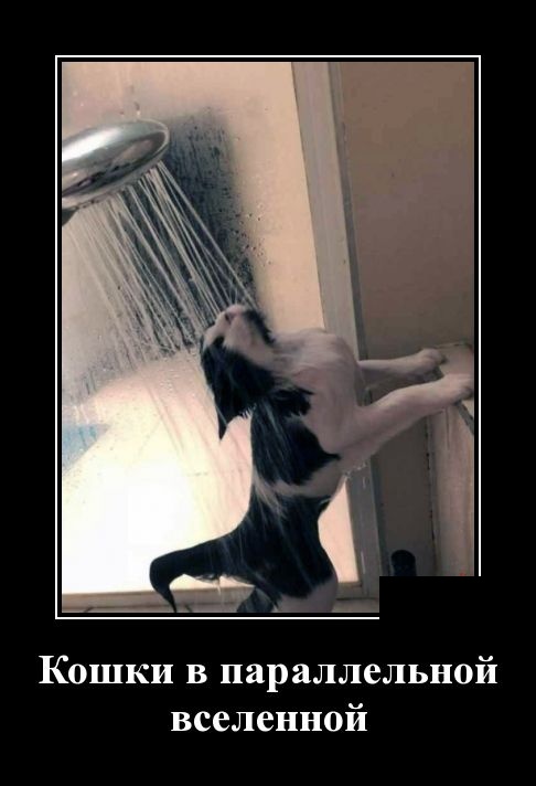 Новые демотиваторы демотиваторы