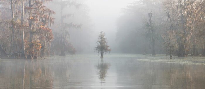 Наша потрясающая планета: 30 лучших пейзажей с конкурса Landscape Photographer Of The Year природа