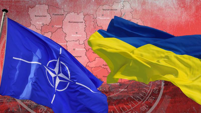 Экс-депутат Рады Килинкаров: Украина готова отказаться от вступления в НАТО за большие деньги