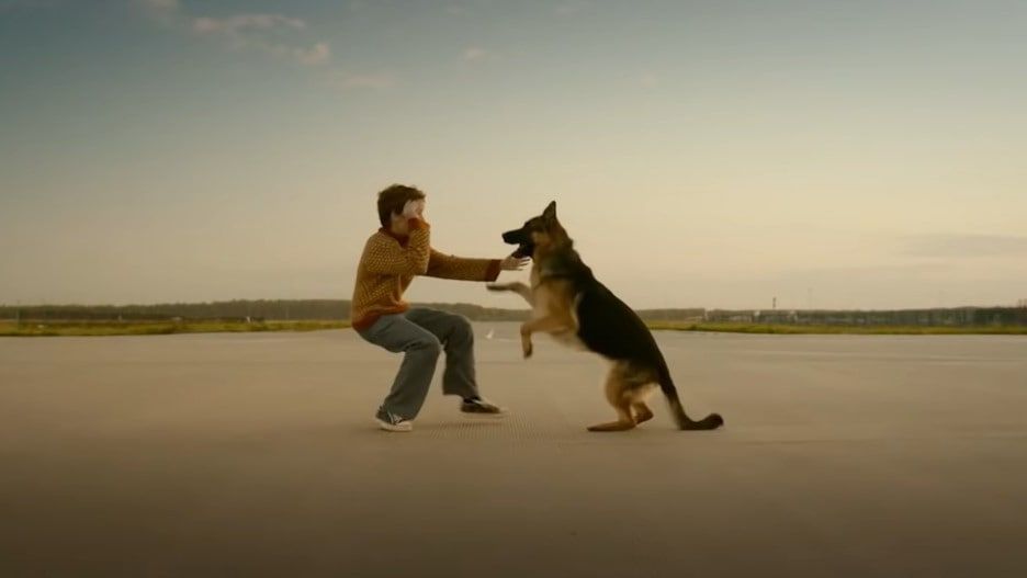 Фото из фильма пальма про собаку