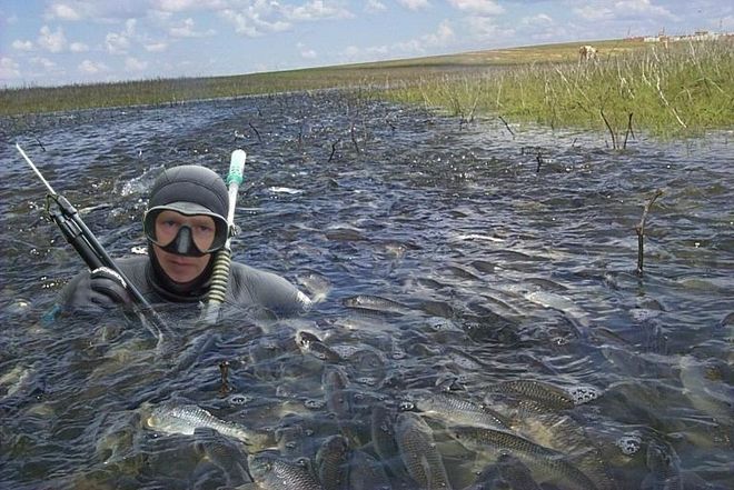 В ряде областей Украины запретили ловить рыбу
