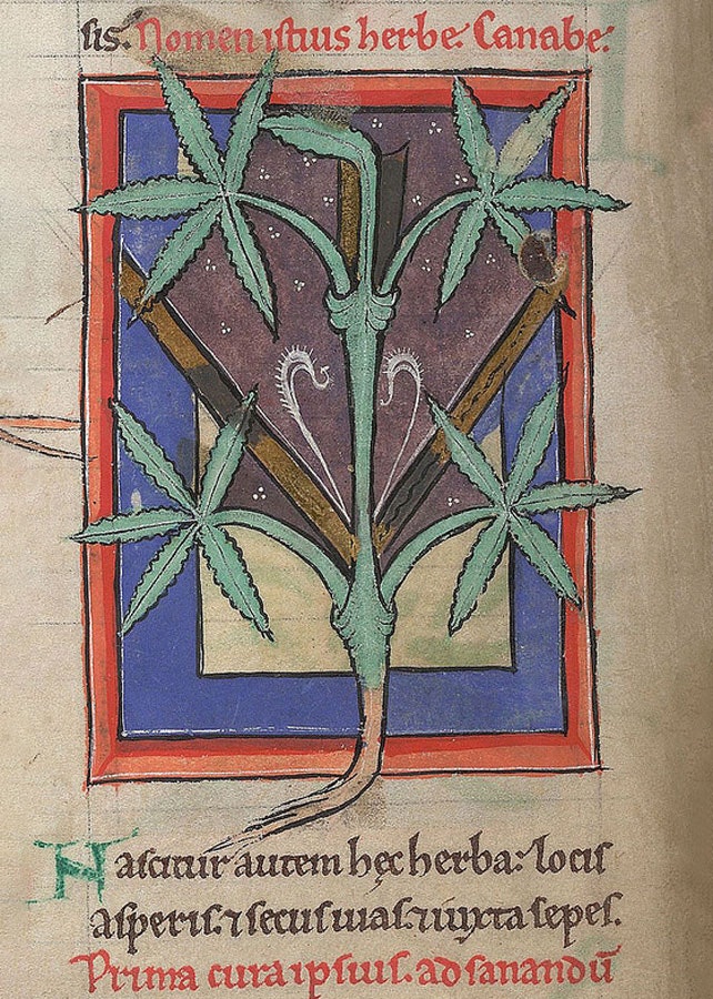 Во все тяжкие до нашей эры. Когда люди полюбили наркотики? Во все тяжкие до нашей эры. Когда люди полюбили наркотики? археология