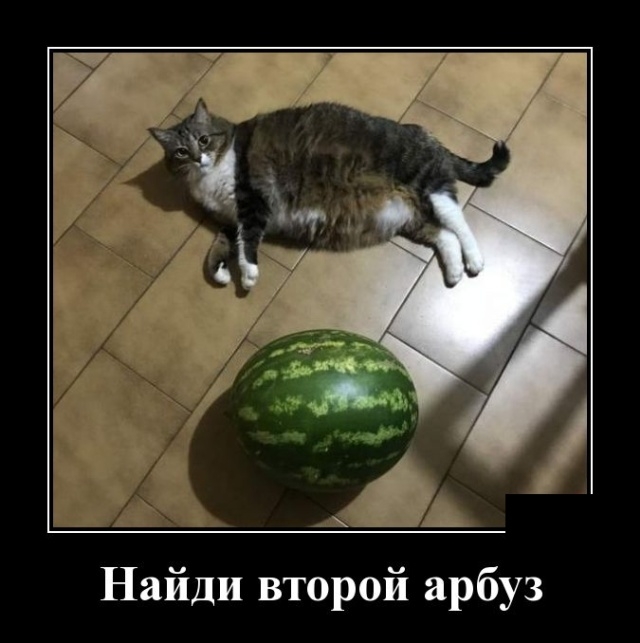 Демотиваторы 