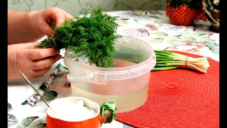 Как сохранить зелень СВЕЖЕЙ до 2-х месяцев!