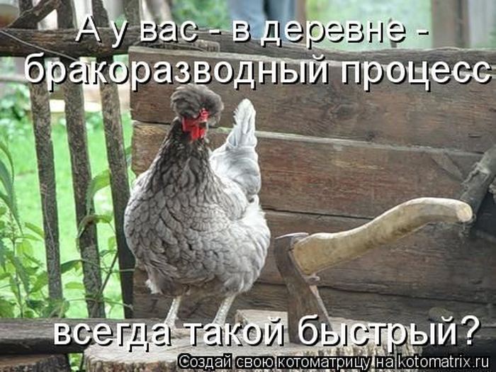 Мысли вслух :)