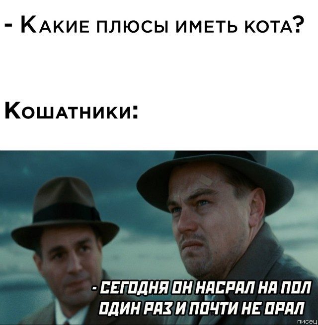 25 приколов января позитив,смешные картинки,юмор