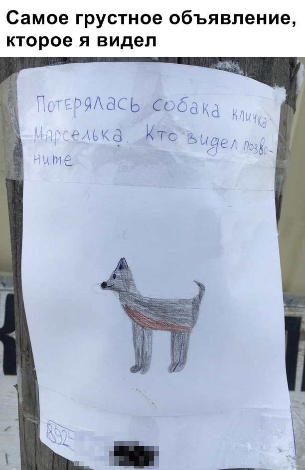 Фотоподборка вторника Фотоподборка вторника юмор