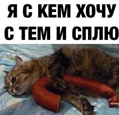 Мудрые высказывания