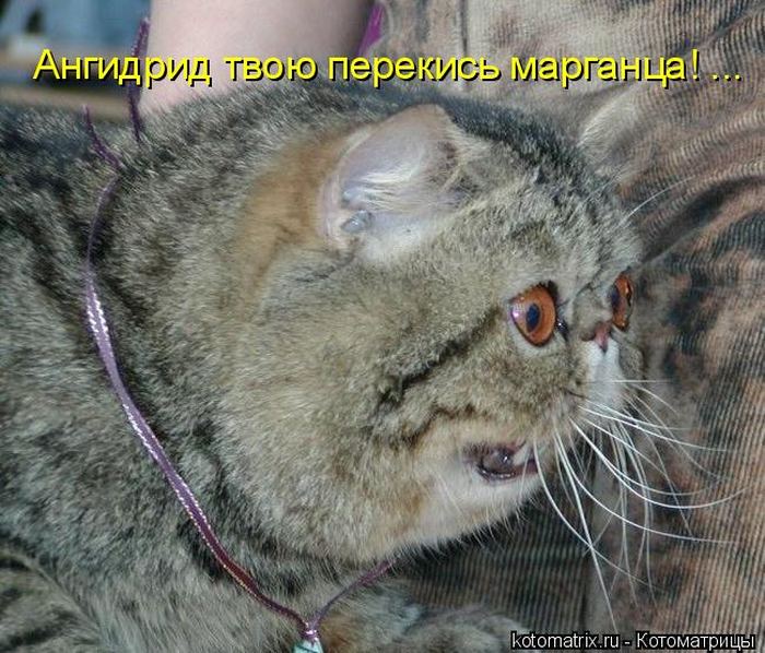 Мысли вслух :)