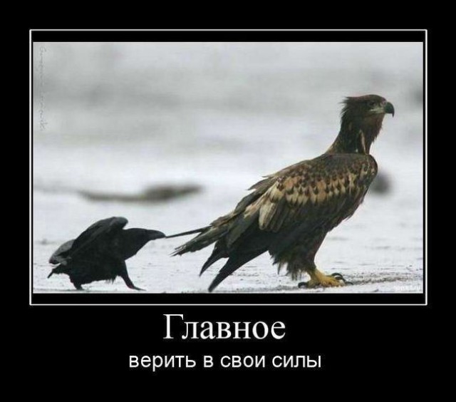 Демотиваторы на любой вкус: «И так всю неделю» Демотиваторы на любой вкус: «И так всю неделю»