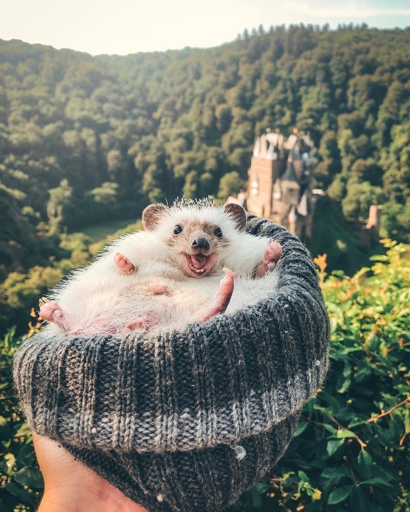 Для по-настоящему красивых фотографий фотошоп не нужен Для по-настоящему красивых фотографий фотошоп не нужен