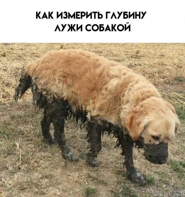 Интернет мемы в четверг и кастрюля Интернет мемы в четверг и кастрюля