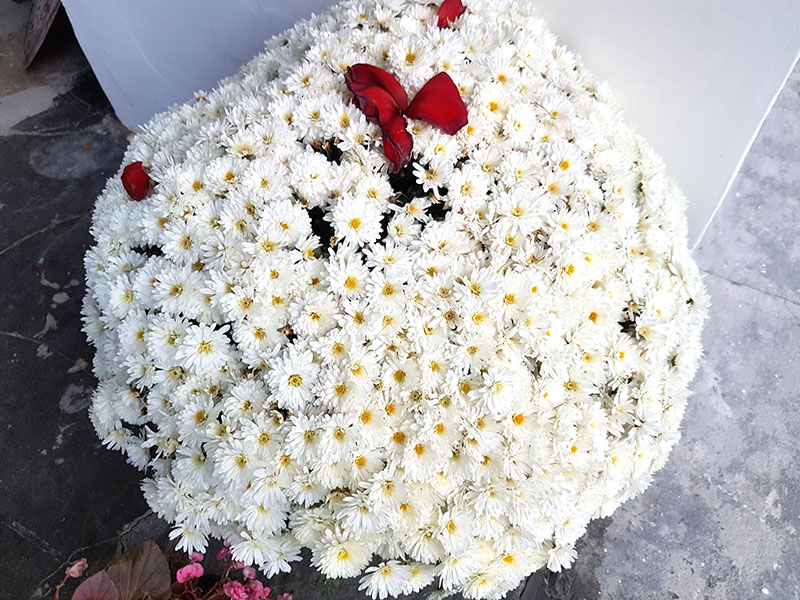 Синая. О Великолепных Замках, Которые Отнял Чаушеску И Монастыре, Построенном Спасенным Князем… автотуризм