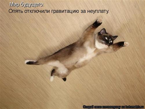 4743317_339717 (500x375, 27Kb)