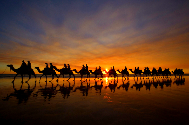 Правила египетского курортного романа Правила египетского курортного романа