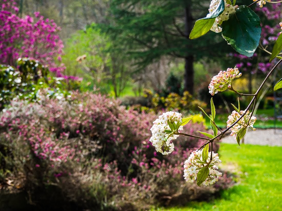 Очередные 10 000 шагов к здоровью Очередные 10 000 шагов к здоровью коронавирус,медицина,общество,яостаюсьдома