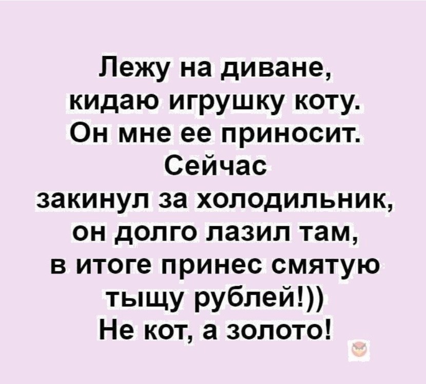 — Сонечка! Вас интересует развитие души, чакры, саморазвитие и выход из обыденности?… юмор, приколы,, Юмор