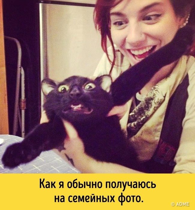 Животные, которые разучились скрывать свои эмоции