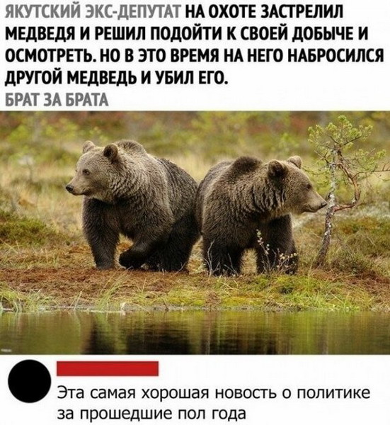 Животный юмор в картинках Животный юмор в картинках