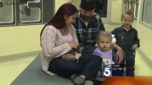 Истории о преданности домашних питомцев﻿ 