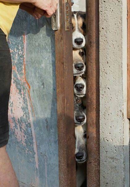 Подборка картинок. Вечерний выпуск (50 фото)