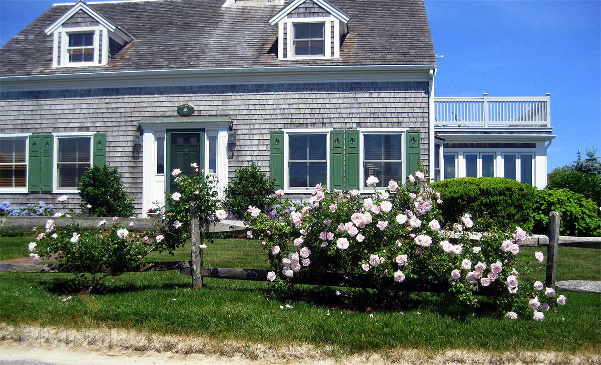 Дома  в стиле Cape Cod: особенности и примеры архитектура,дома и коттеджи,ремонт и строительство